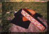 pp00165.jpg (66054 byte)